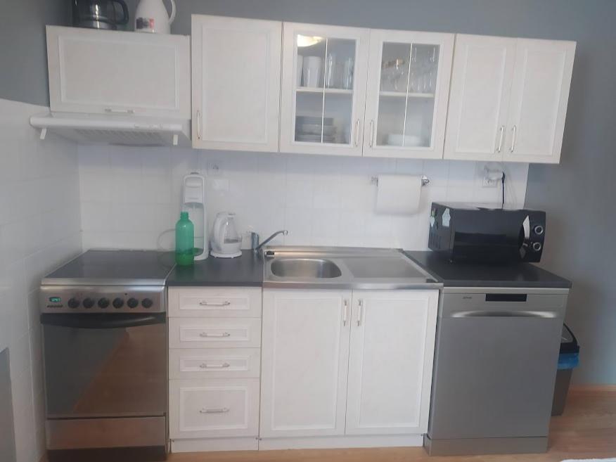 Apartmany U Torina Boží Dar Eksteriør bilde